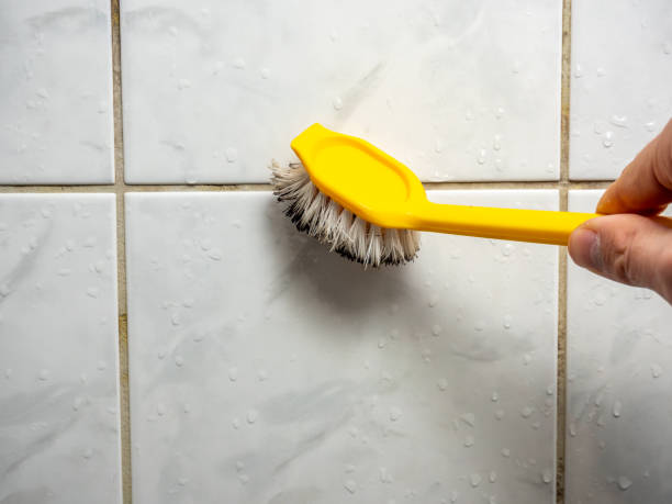 Best Mold Testing  in Kirkland, WA