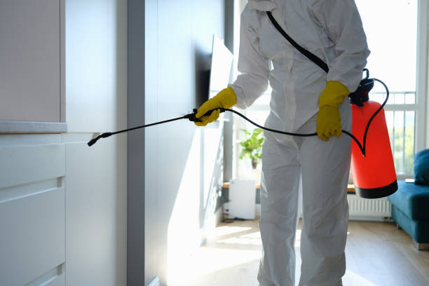 Best Emergency Mold Removal  in Kirkland, WA