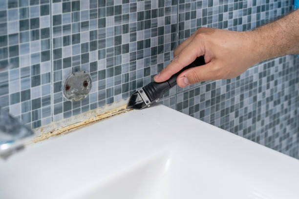 Best Mold Damage Repair  in Kirkland, WA